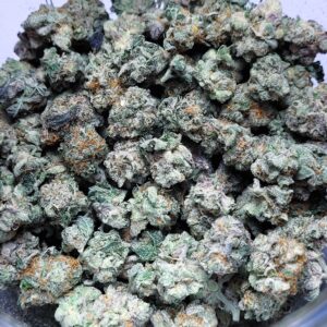Payton's Pie by Fresh Flower Vibez *SMALLS*