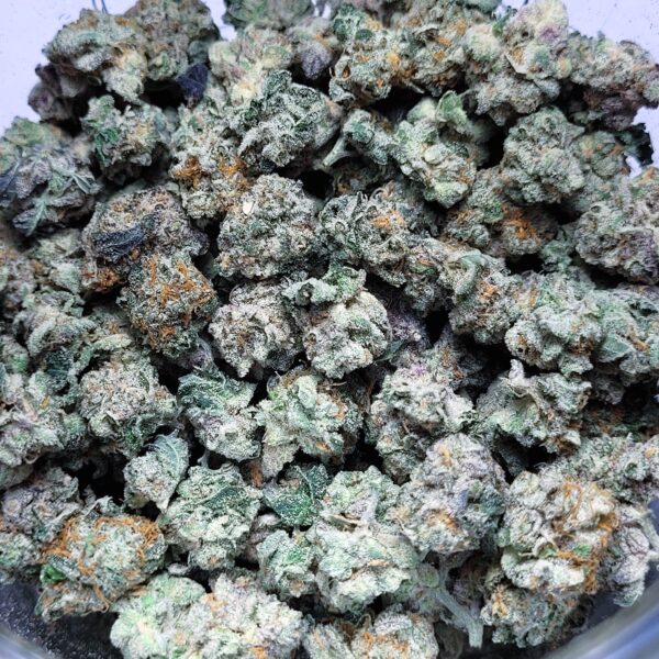 Payton's Pie by Fresh Flower Vibez *SMALLS*
