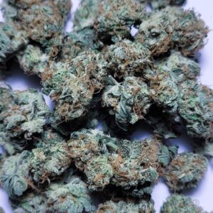 Medellin by Fresh Flower Vibez *SMALLS*