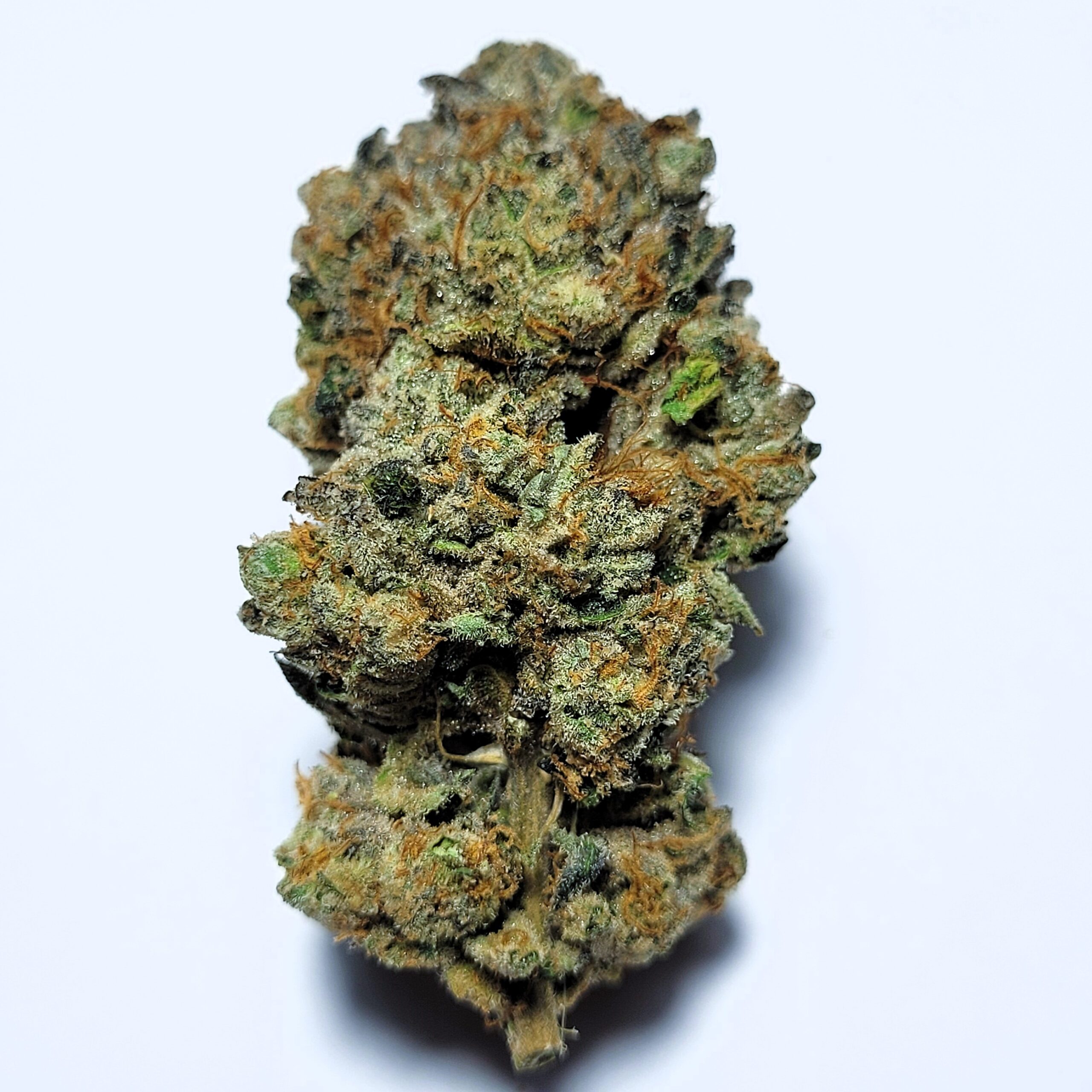 Georgia Pie by Irie Grown Roots