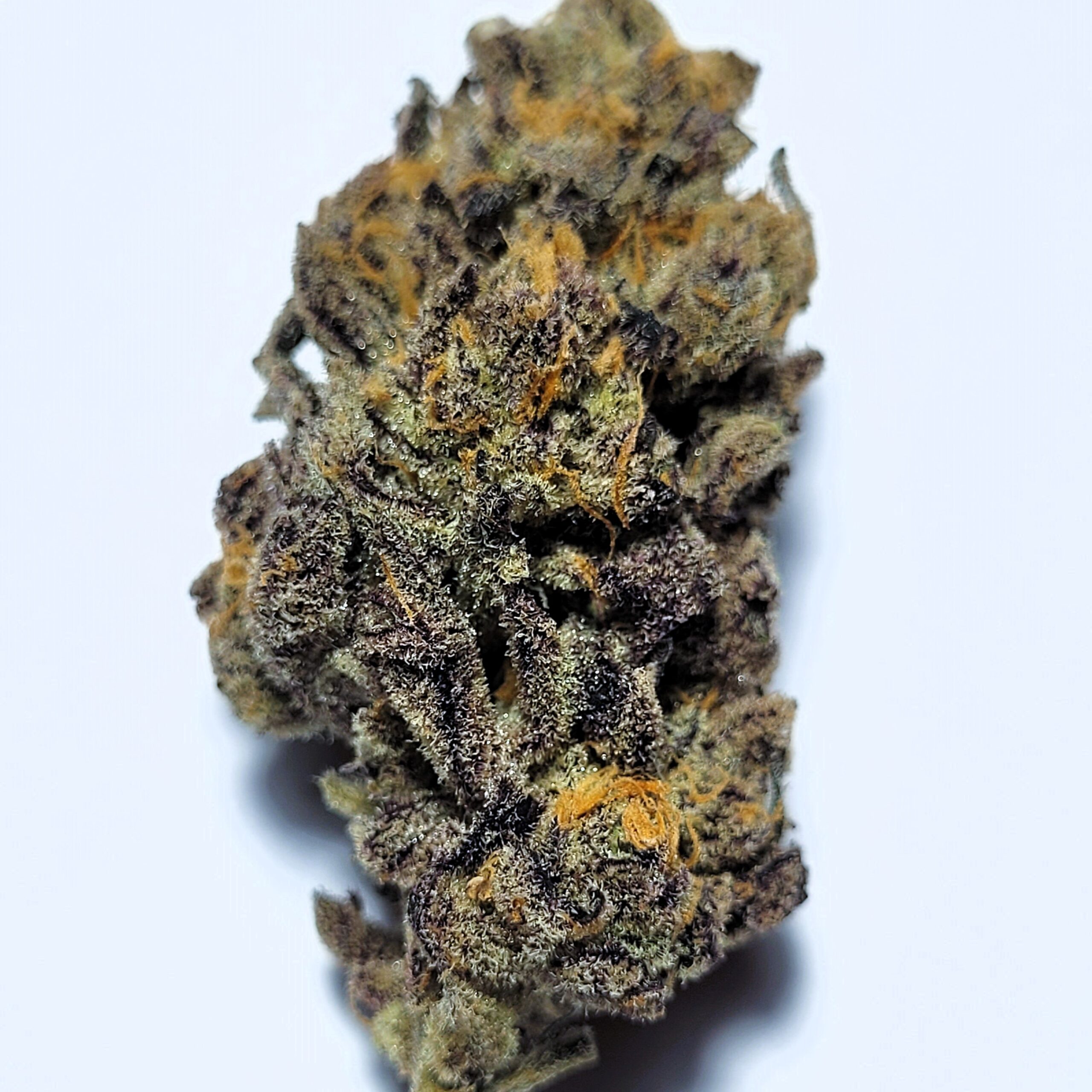 Dosi Pie by Irie Grown Roots