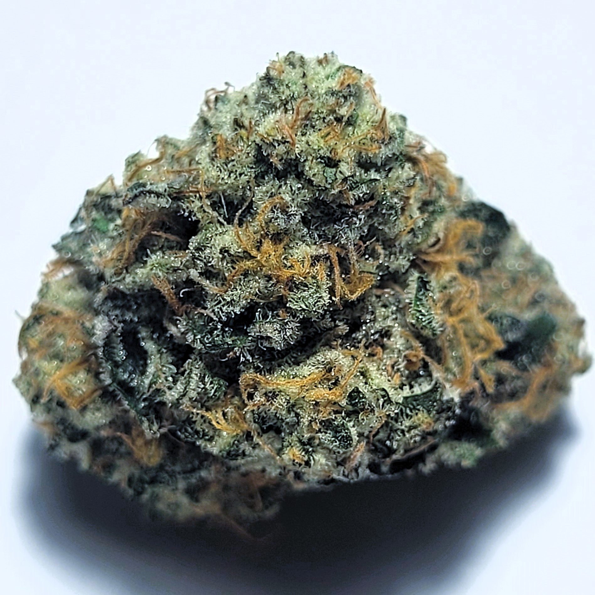 Payton's Pie Small Batch by Fresh Flower Vibez