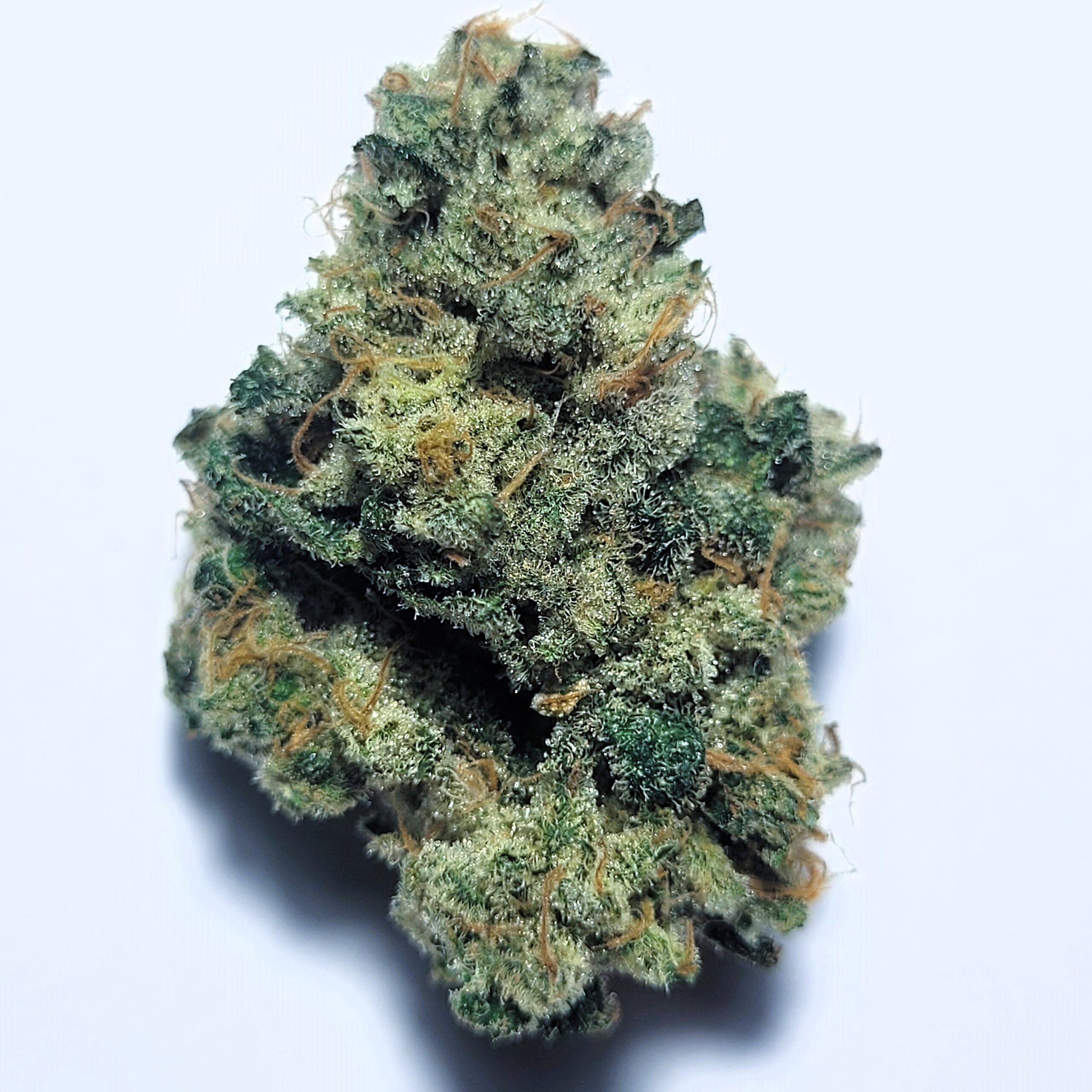 Banana Bread x Runtz by Shaun Cron