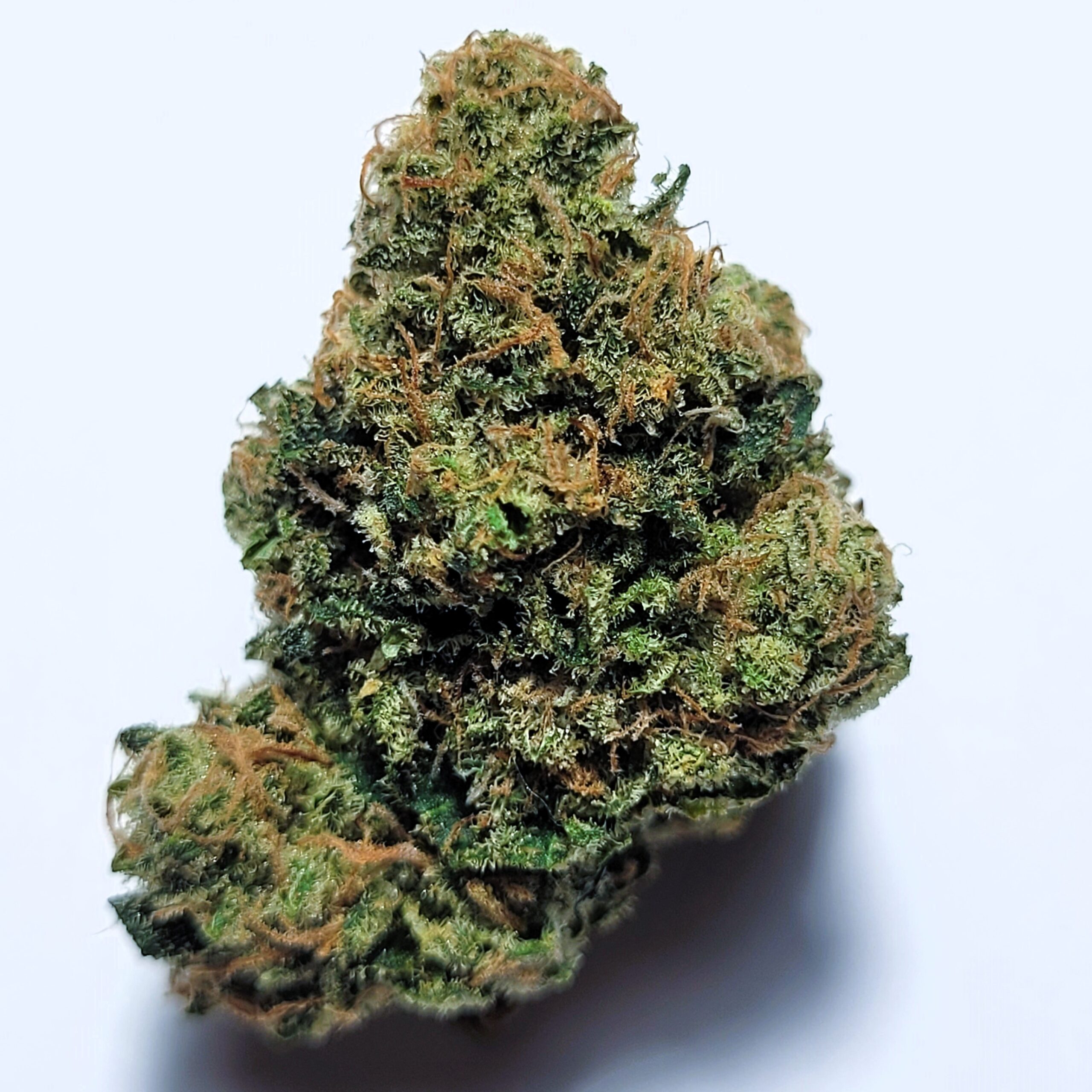 Chem Dawg x Sour Dubb