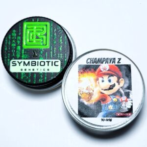 Real Cannabis Chris x Symbiotic Genetics 'Champaya Z' Cold Cure Live Rosin 90-149u