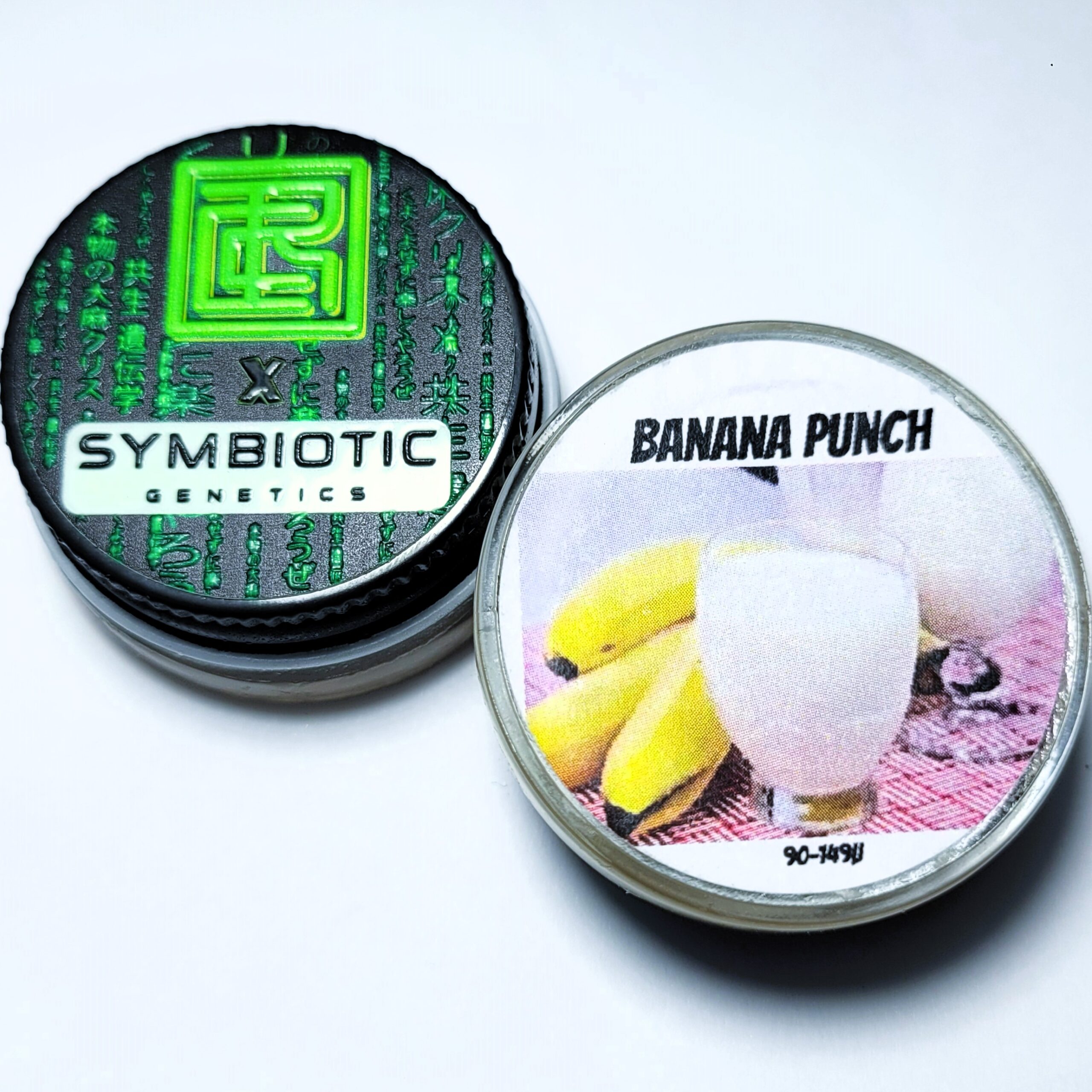 Real Cannabis Chris x Symbiotic Genetics 'Banana Punch' Cold Cure Live Rosin 90-149u