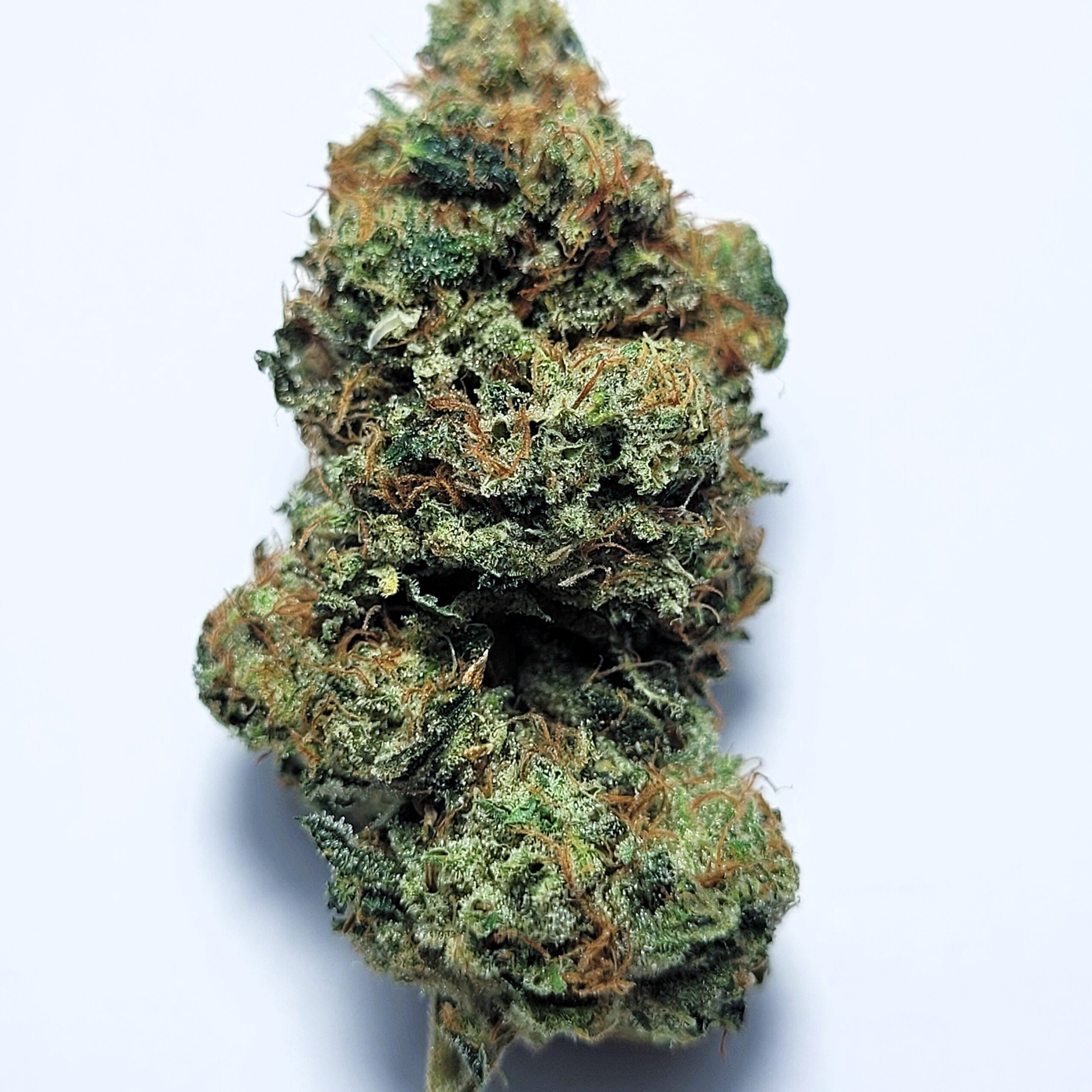 Chem Dawg x Sour Dubble by Shaun Cron