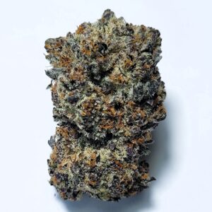 Northern Lights #5 x Haze Hybrid