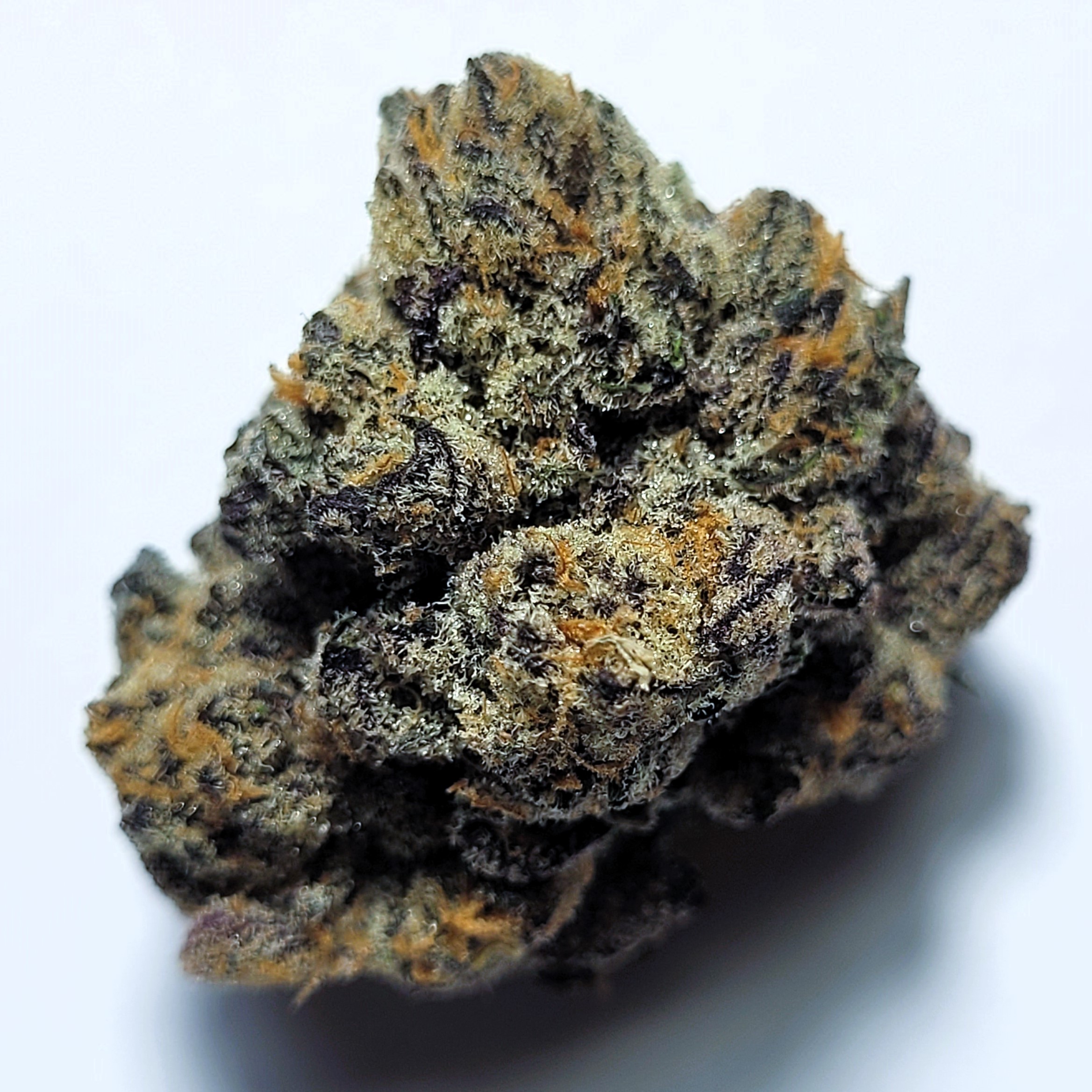 Hi-Chew by Irie Grown Roots