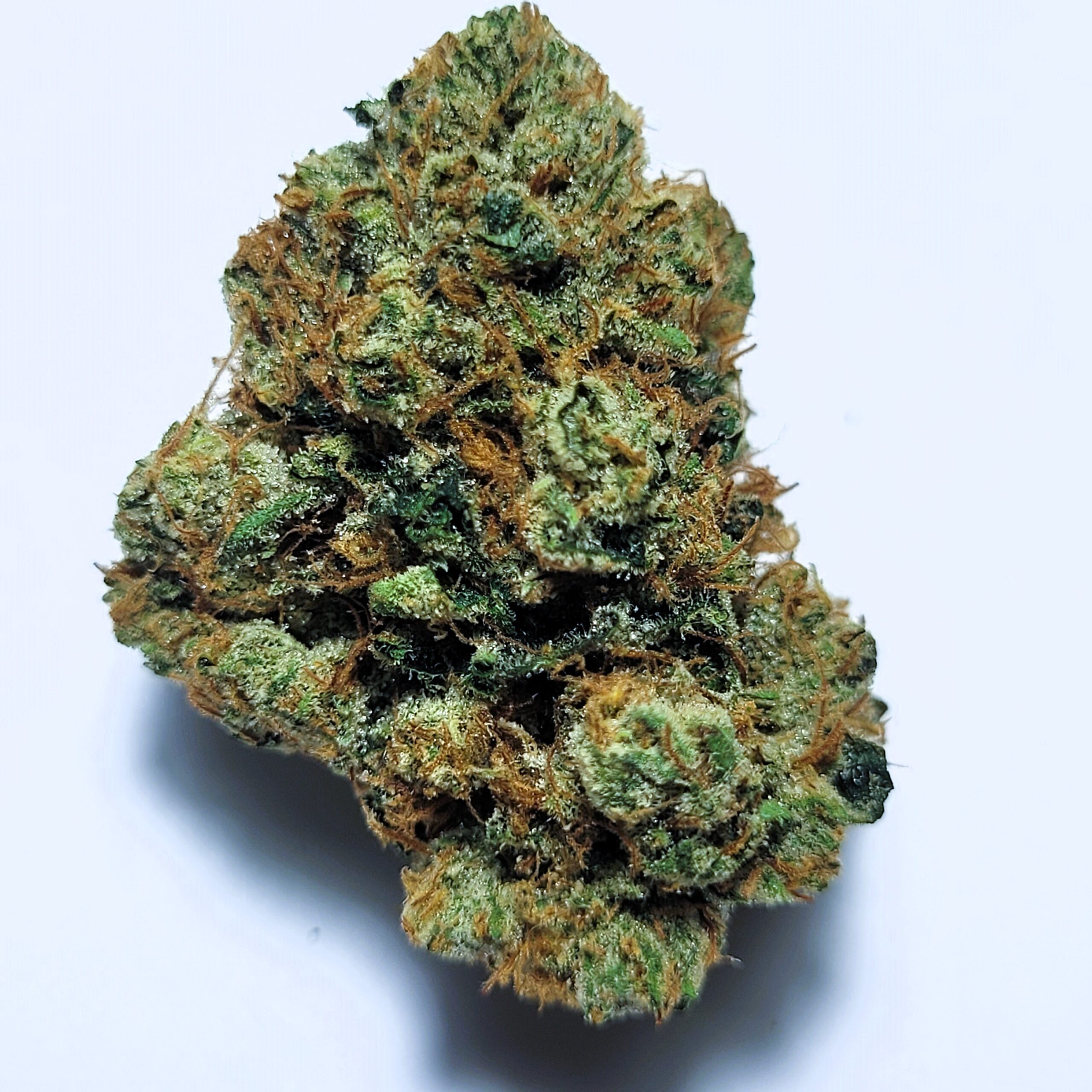 Skywalker OG Indica
