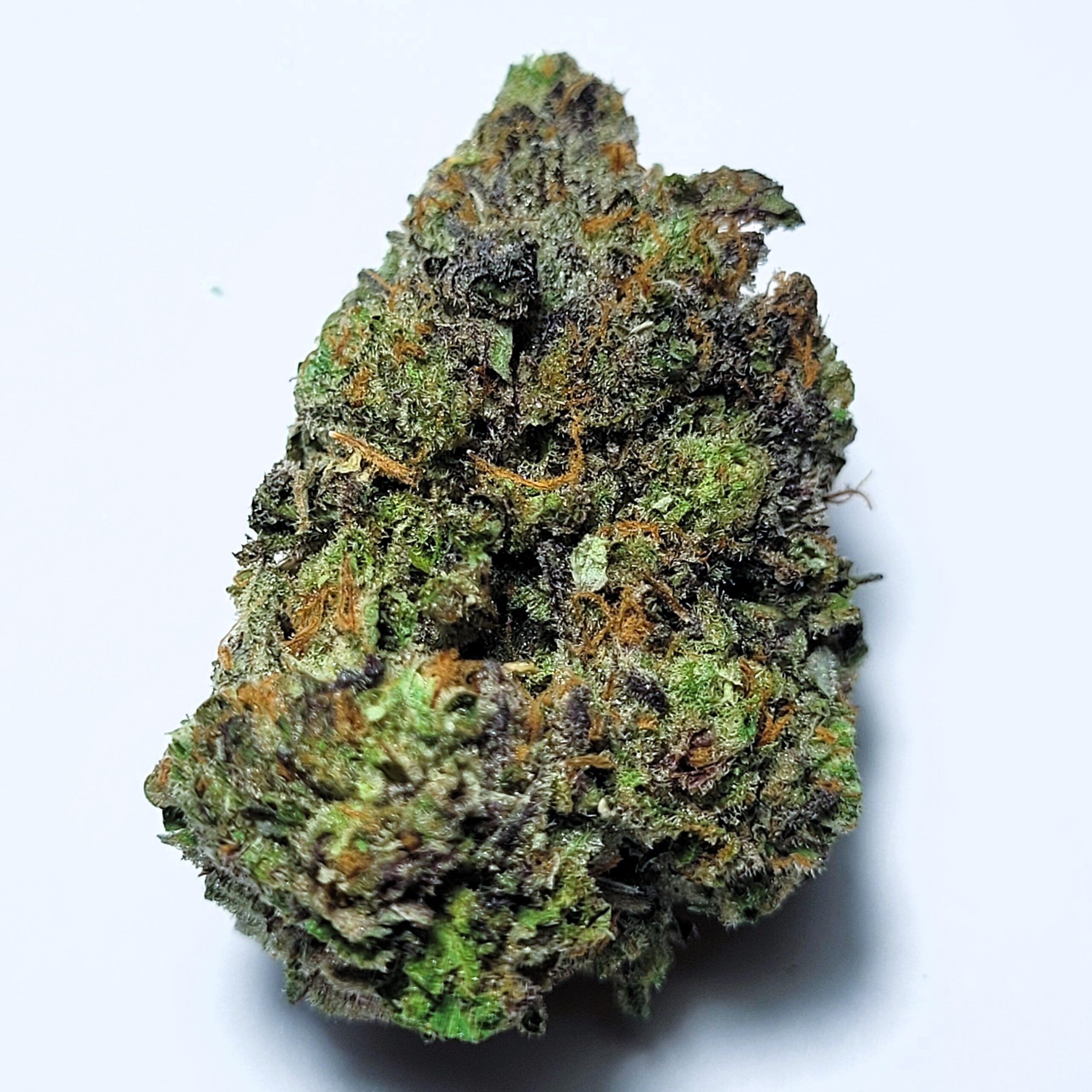 Georgia Pie X GMO Indica