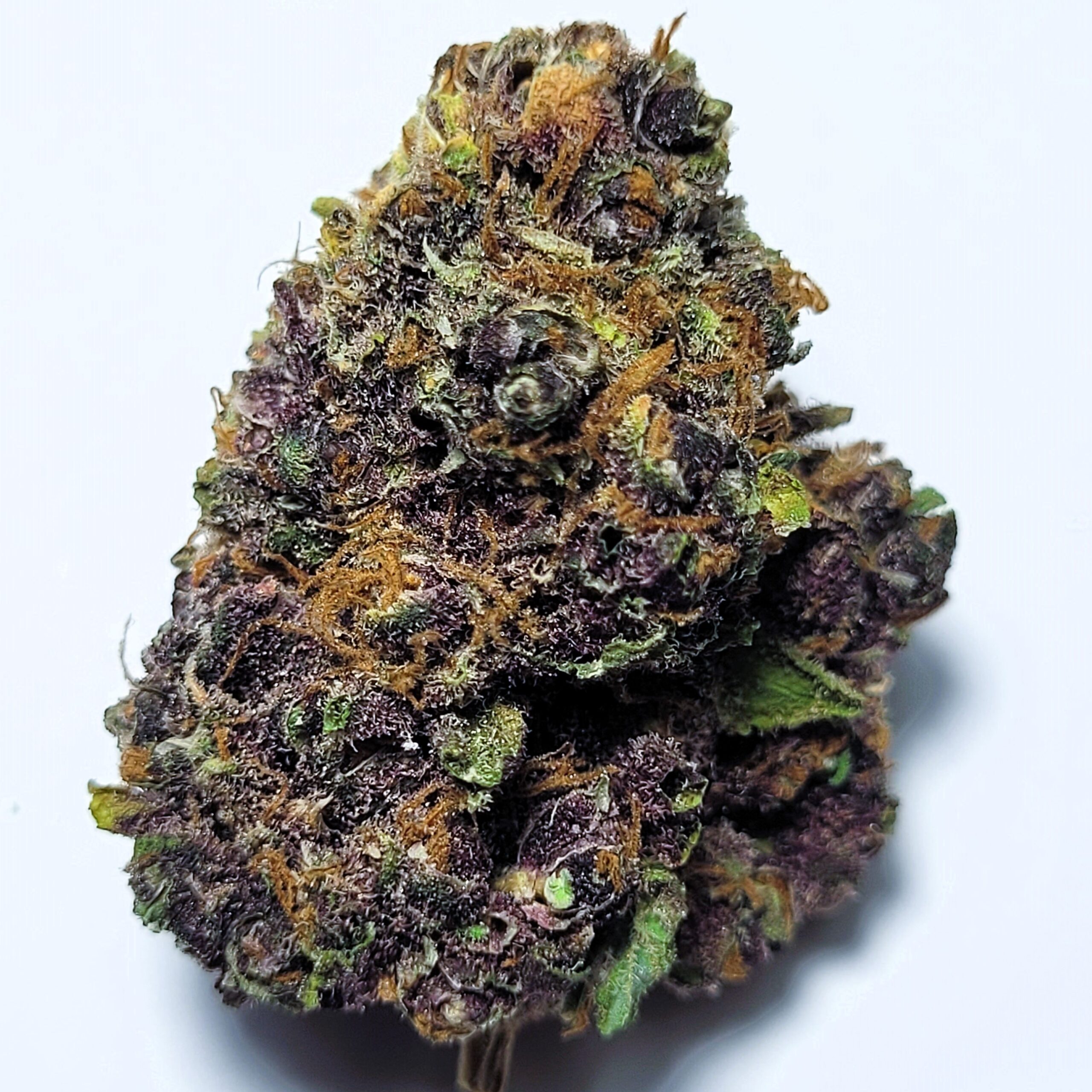 Trop Cherry Sativa