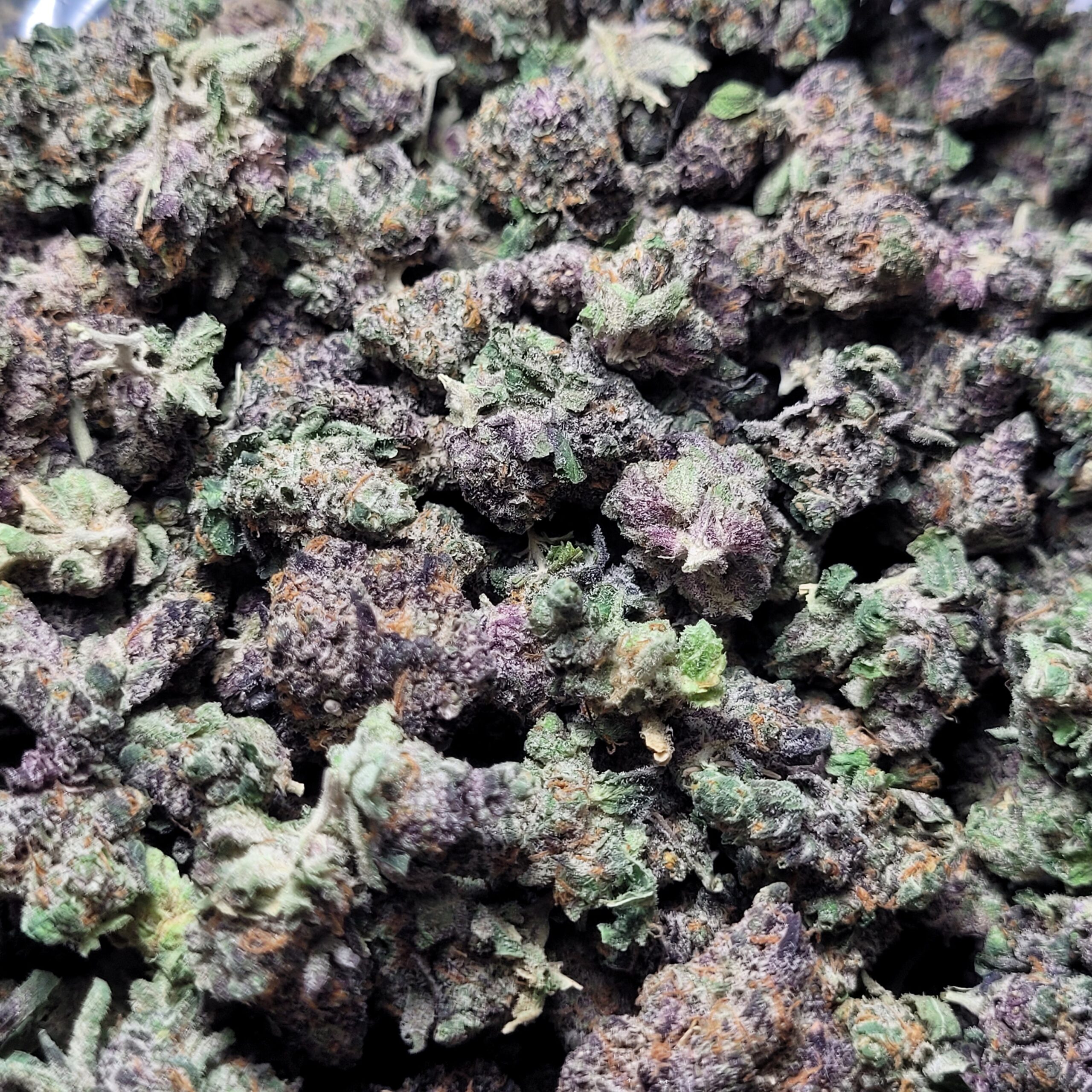 OG x GMO Hybrid *SMALLS*