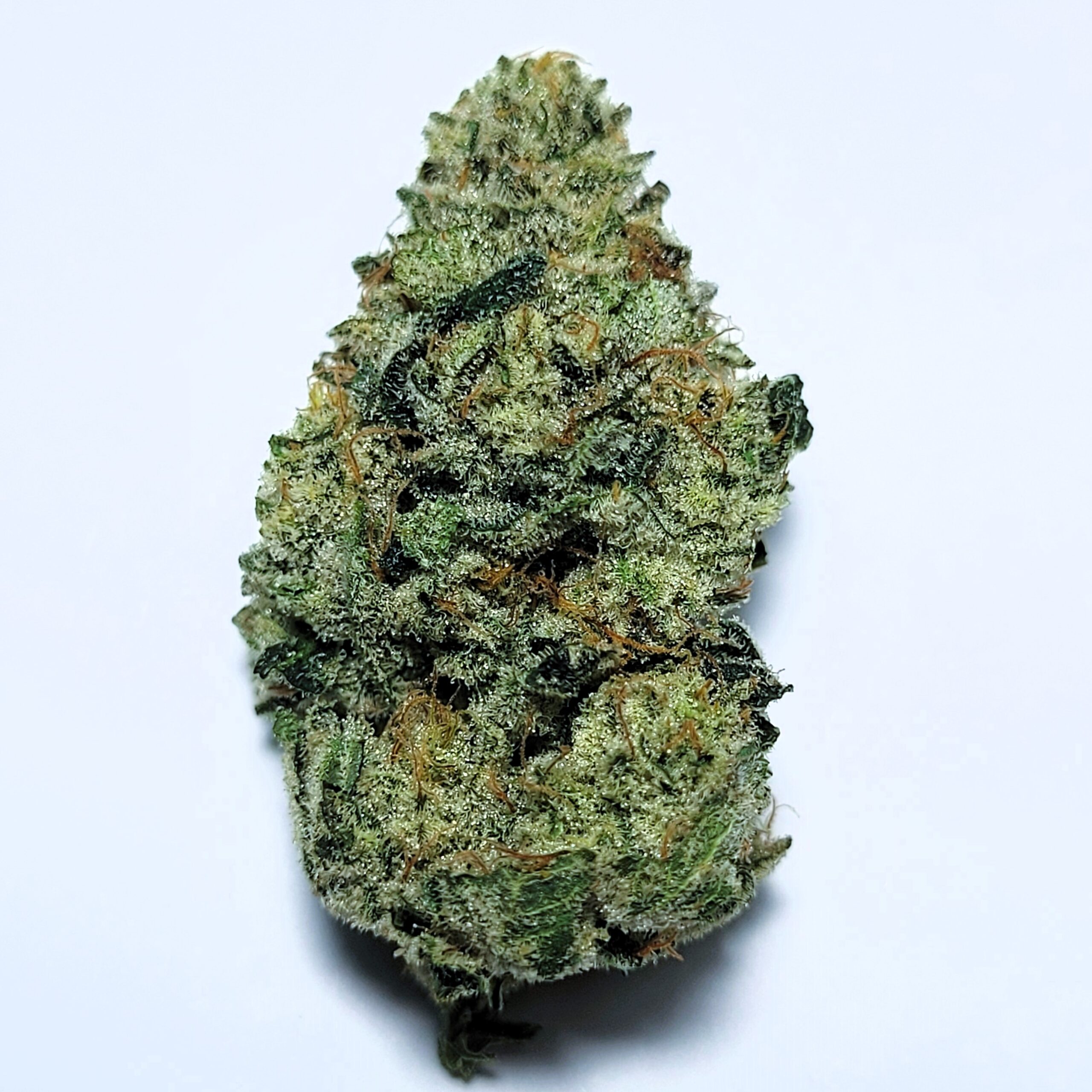 Gorilla Glue *MEDIUM NUGS* by Fresh Flower Vibez