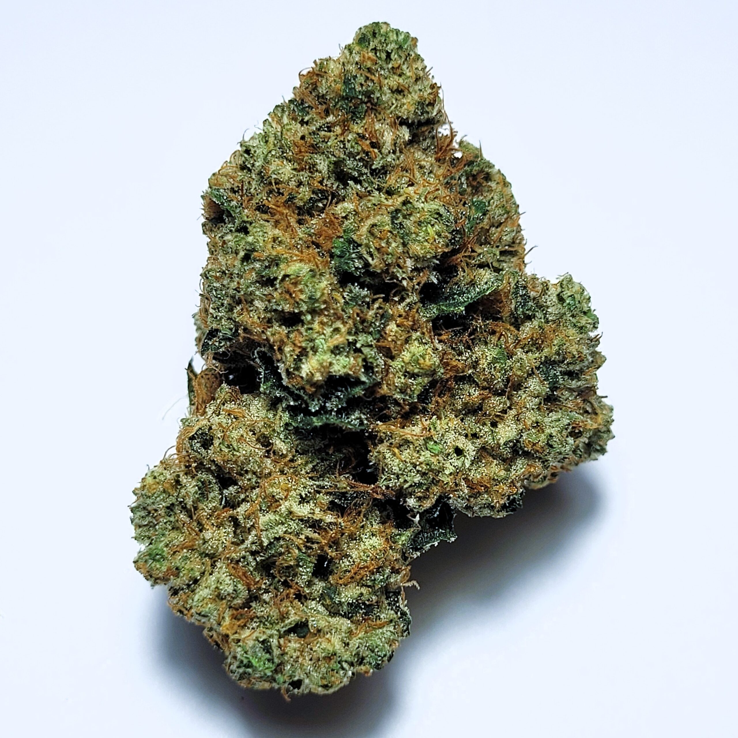 King Louis OG by Fresh Flower Vibez