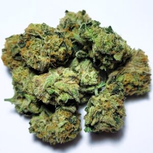 Medellin *SMALLS* by Fresh Flower Vibez