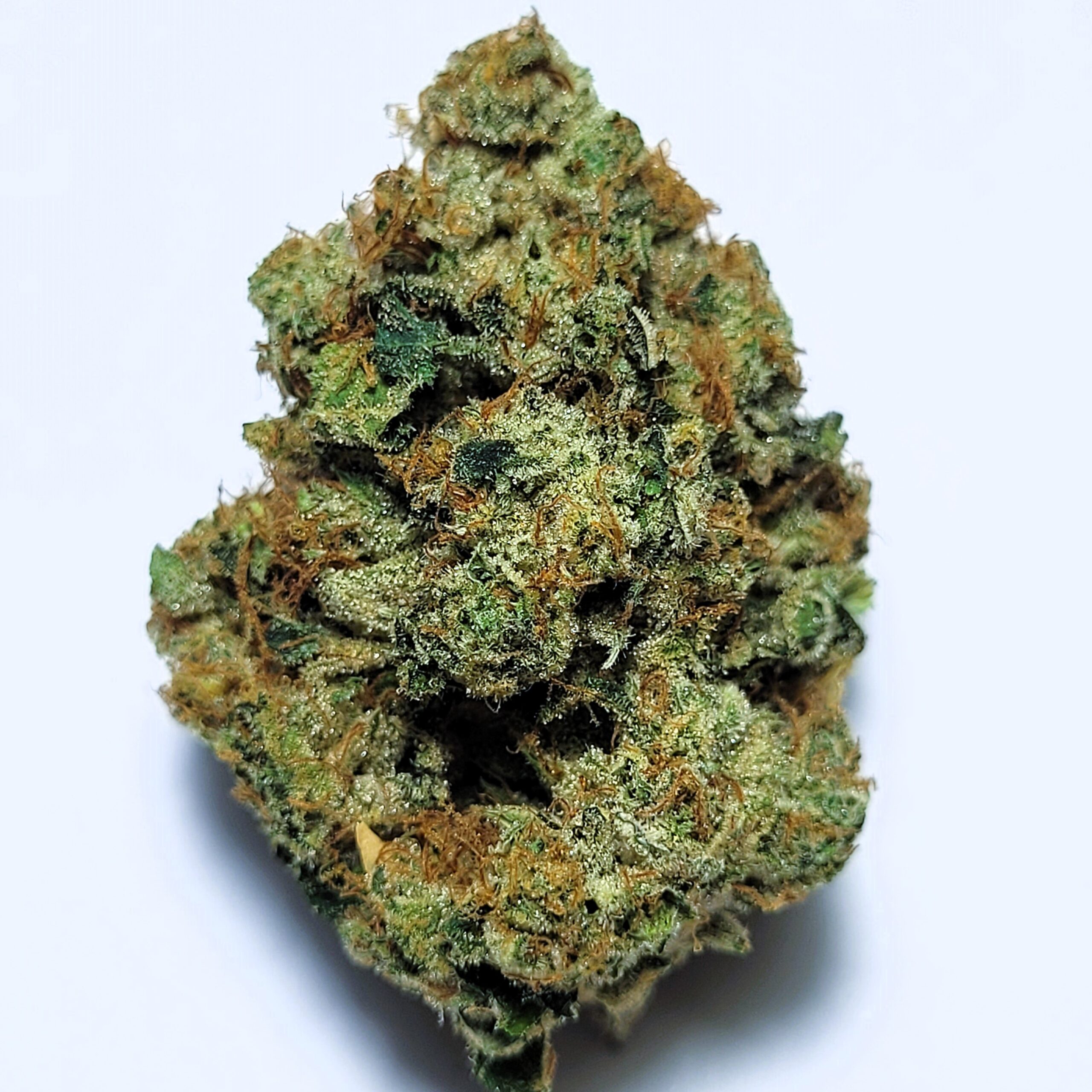 White Fire 43 by Shaun Cron
