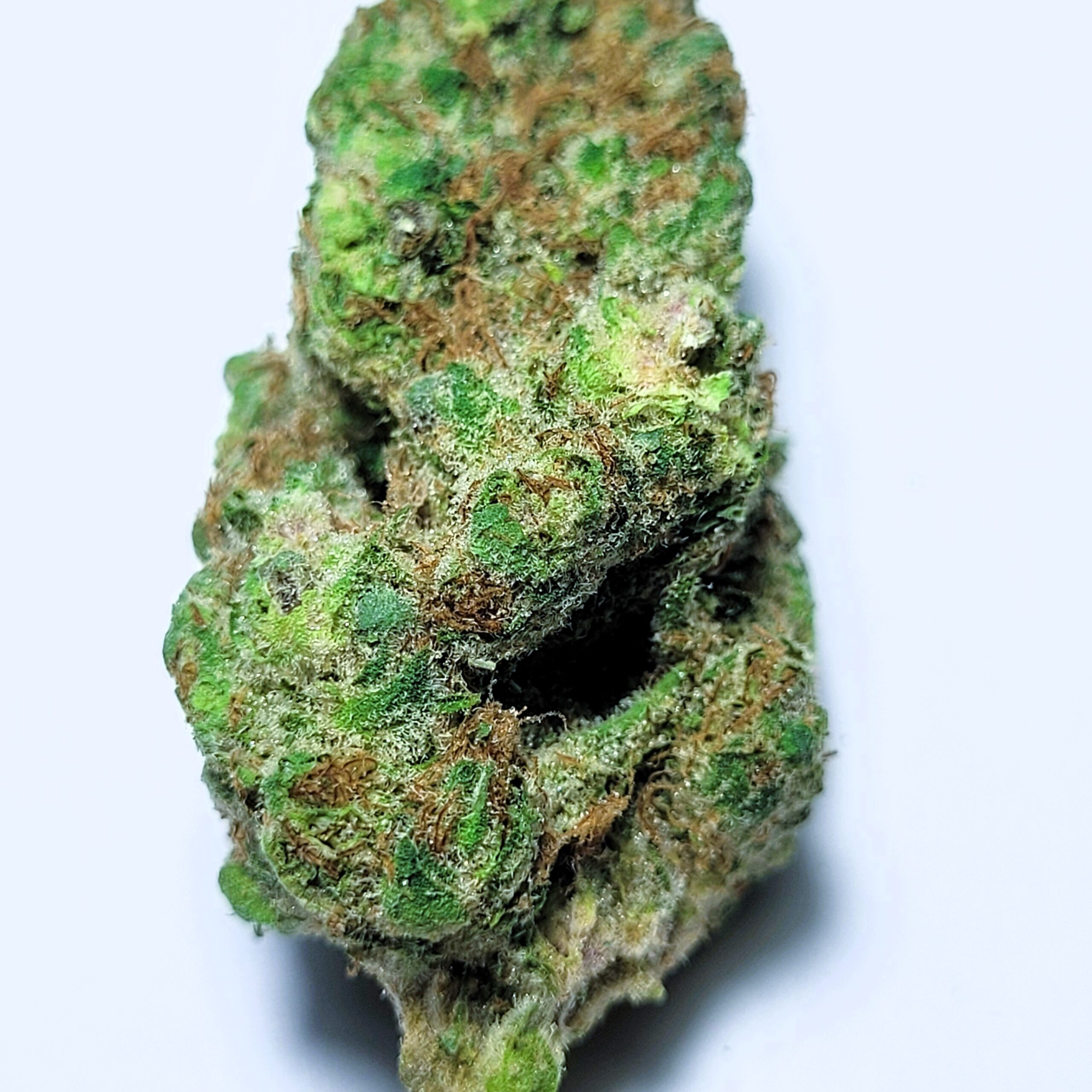 Super Boof Sativa