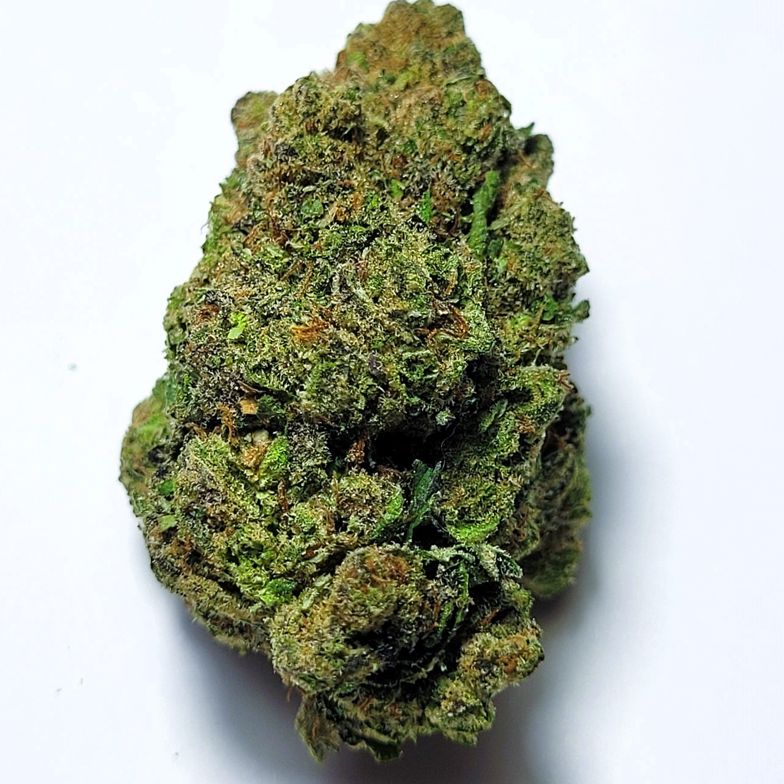 Pink Warheads Hybrid