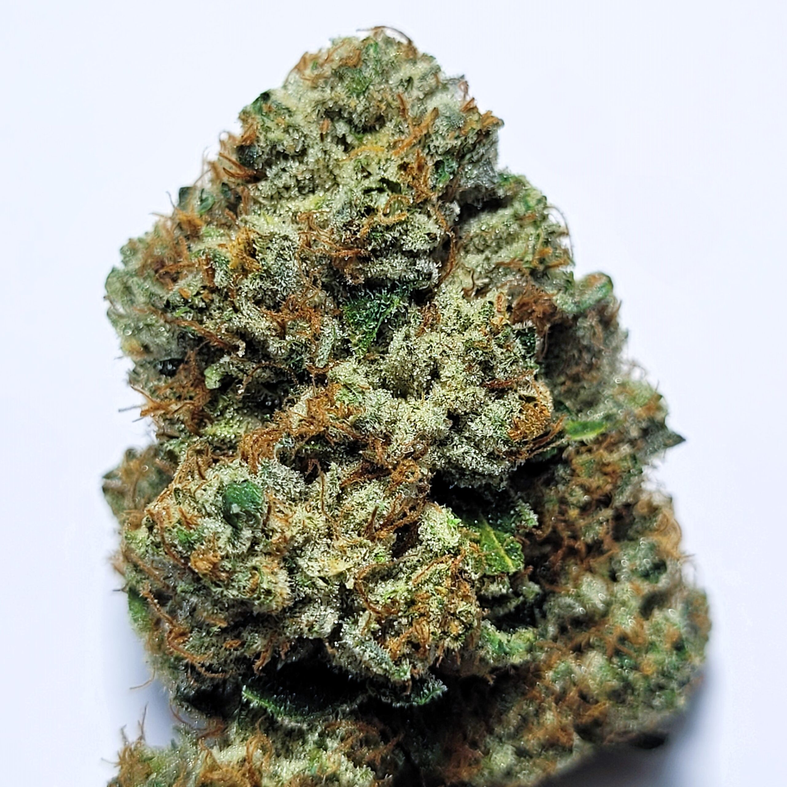 Private Reserve OG by Fresh Flower Vibez