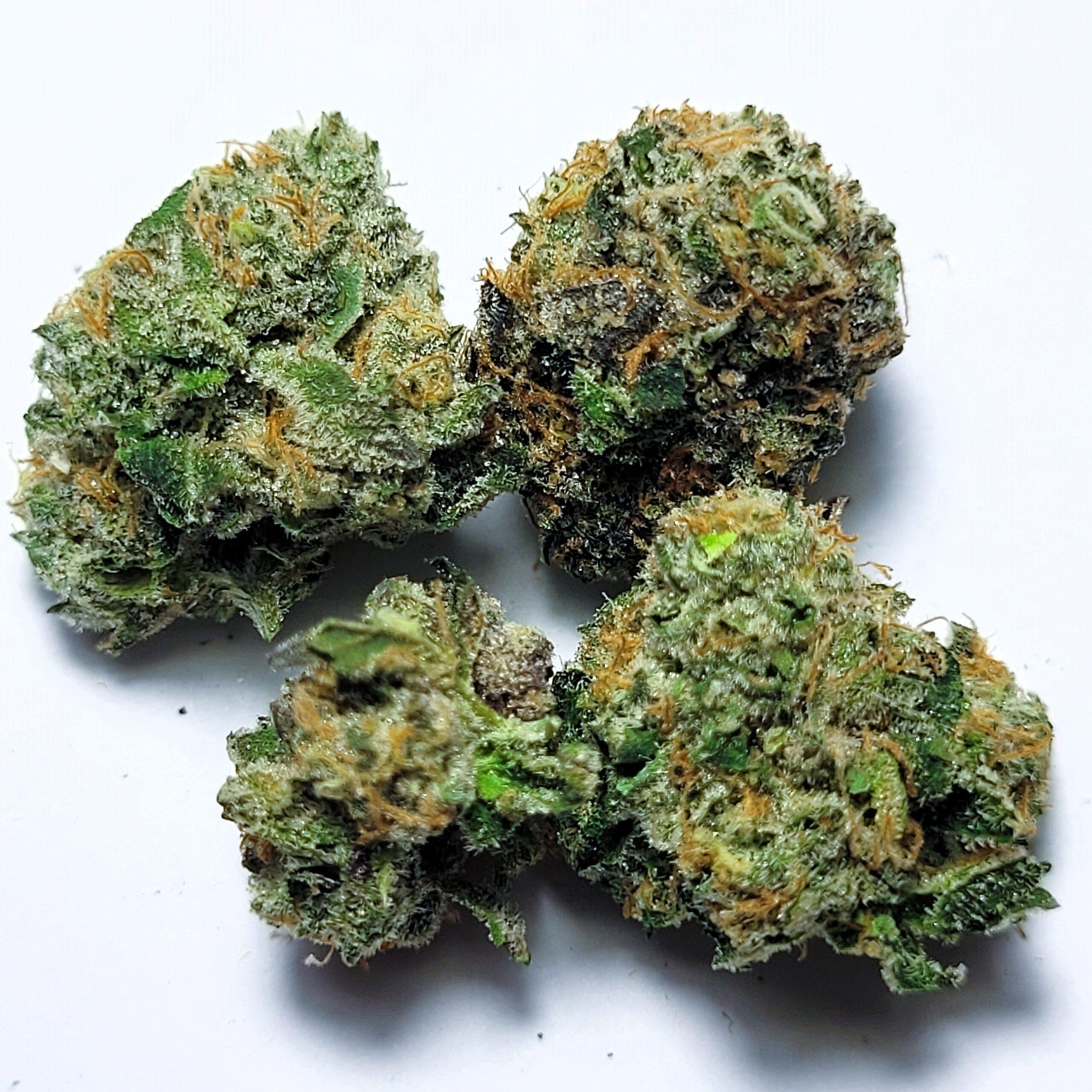 Confetti Cake by Fresh Flower Vibez *MEDIUM & SMALLS*