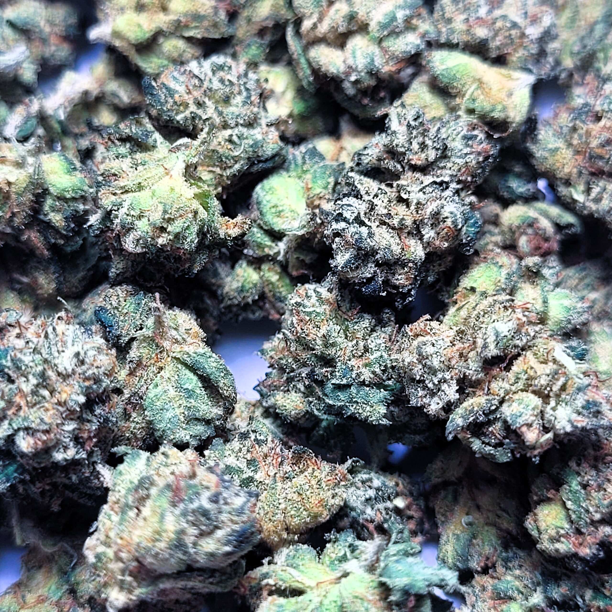 Kush Co. OG by Kush Co. *SMALLS*
