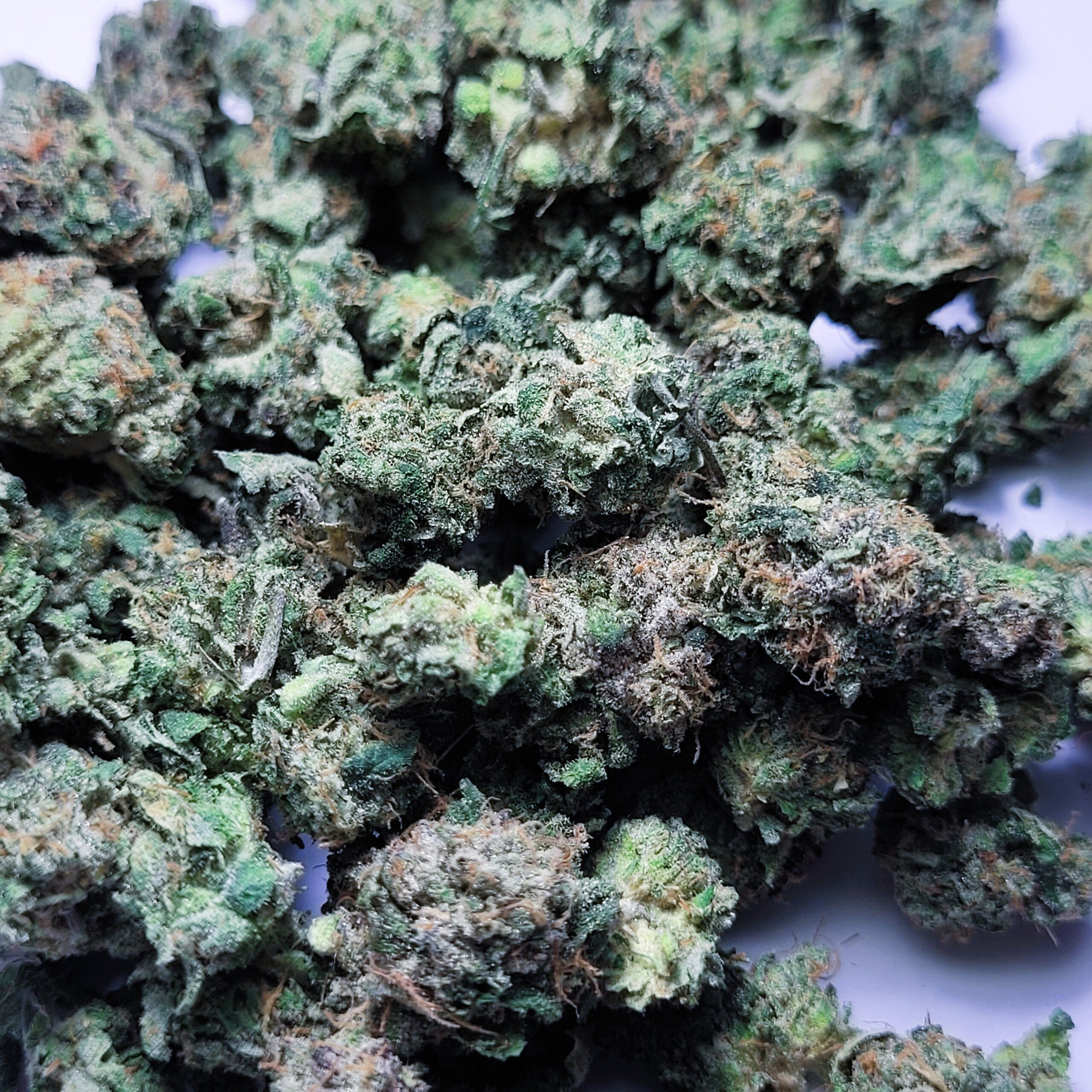Zprinkles by Fresh Flower Vibez *SMALLS*
