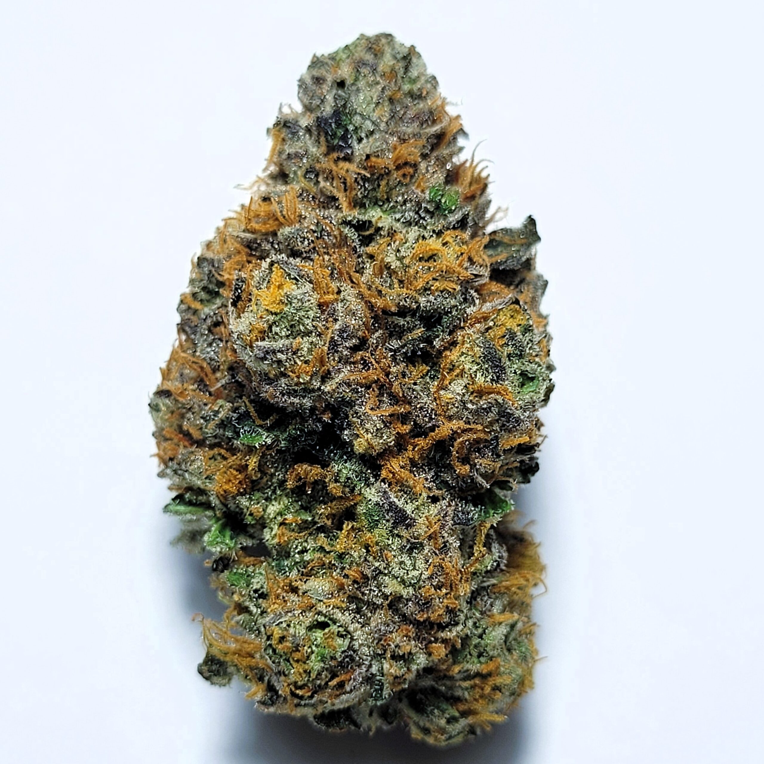 Cream Smoothie by Fresh Flower Vibez