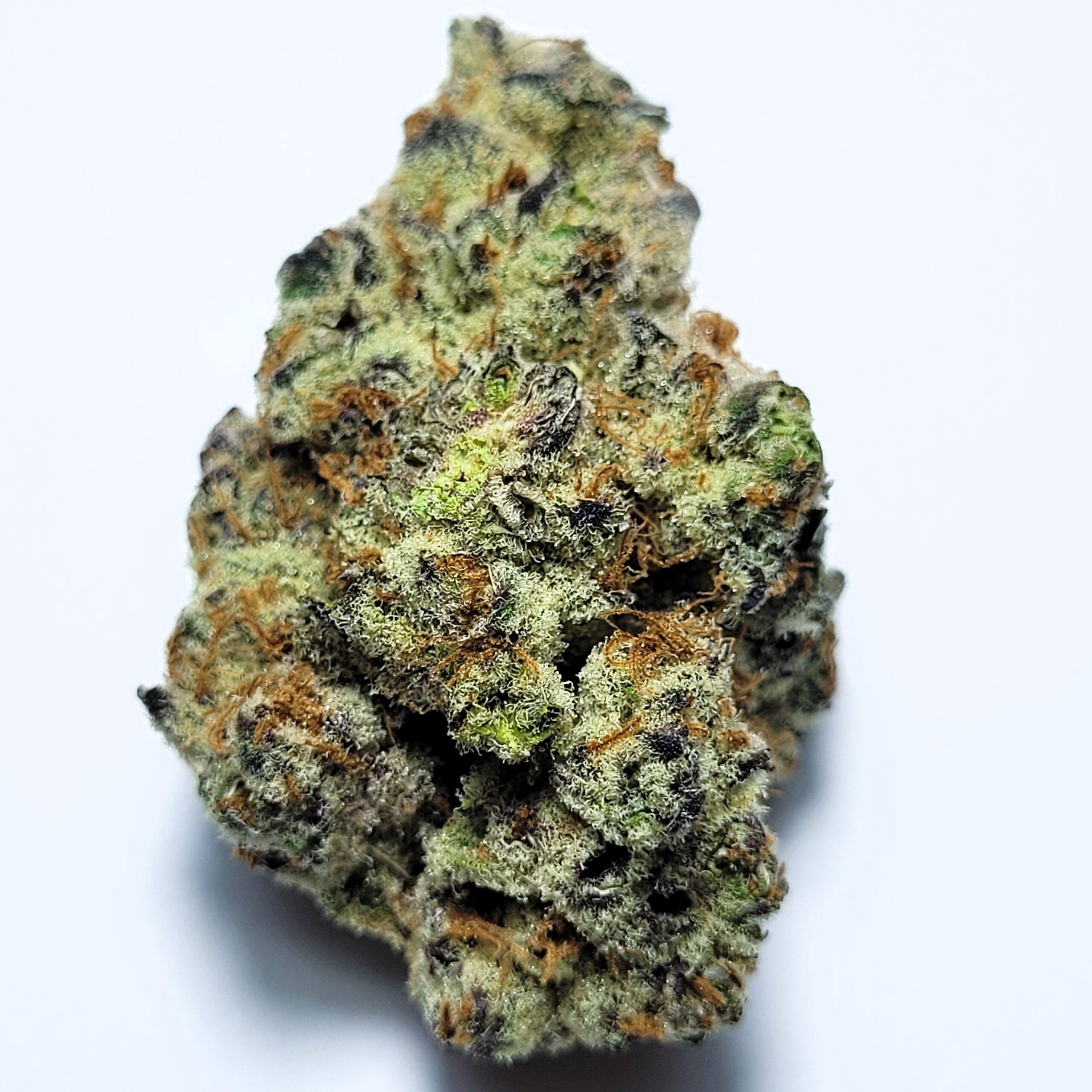 Dante's Inferno by Fresh Flower Vibez