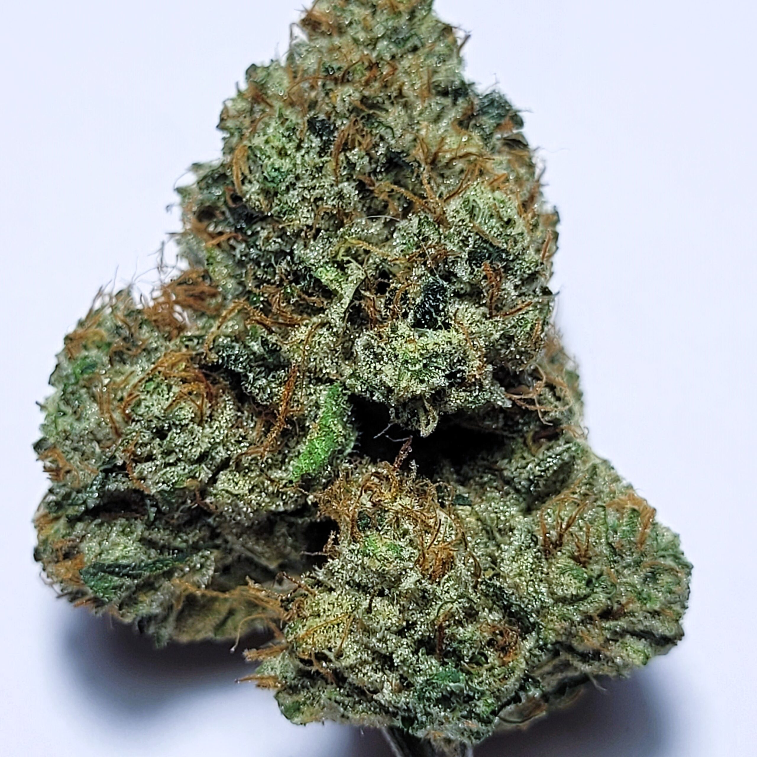 Pure Kush by Fresh Flower Vibez