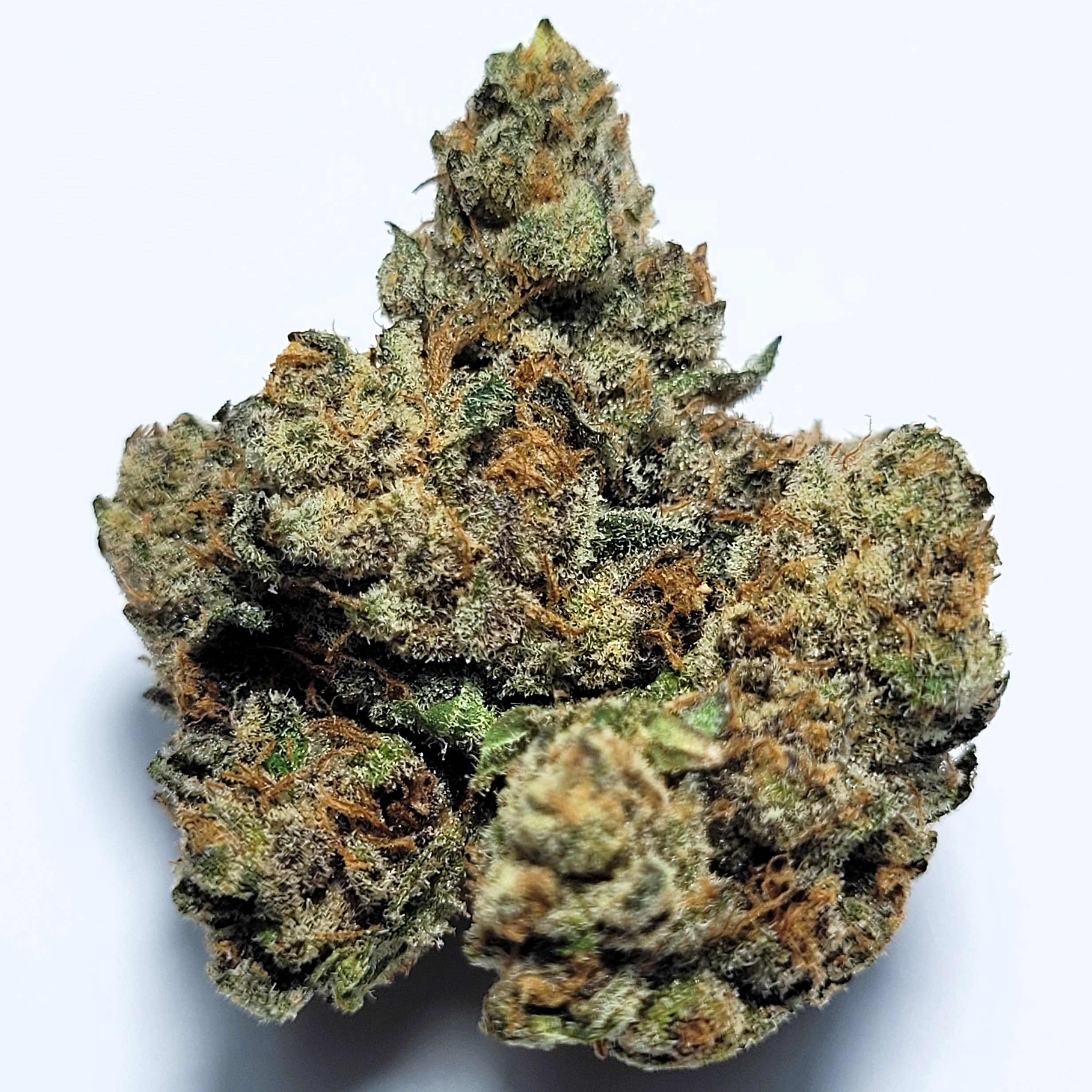 Hi-Chew Hybrid