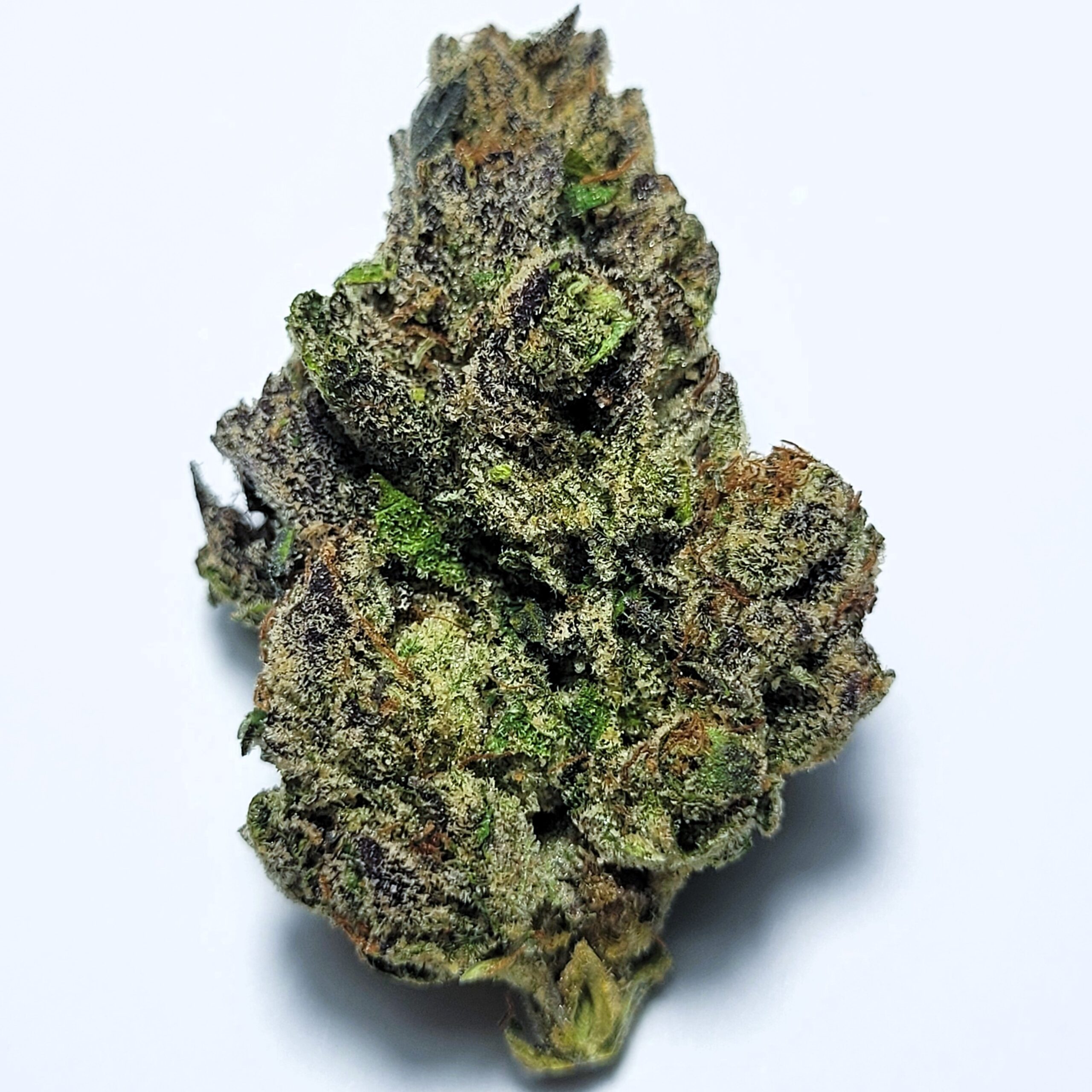 Gelato Pops Hybrid